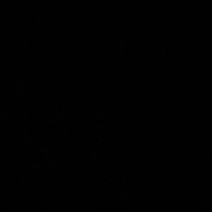 Meet your Posher, Brandi